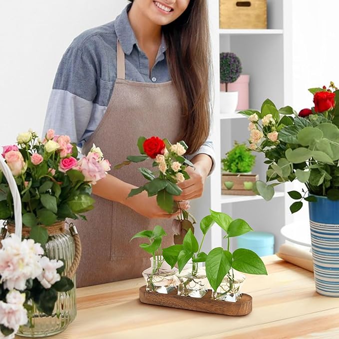 XXXFLOWER Plant Propagation Station with Wooden Stand，Air Plant Terrarium Starter Kits Star Vases for Flowers Plant Cutting Rooting Pots Indoor Hydroponic Glass Planter for Plant Lovers,3 Jars