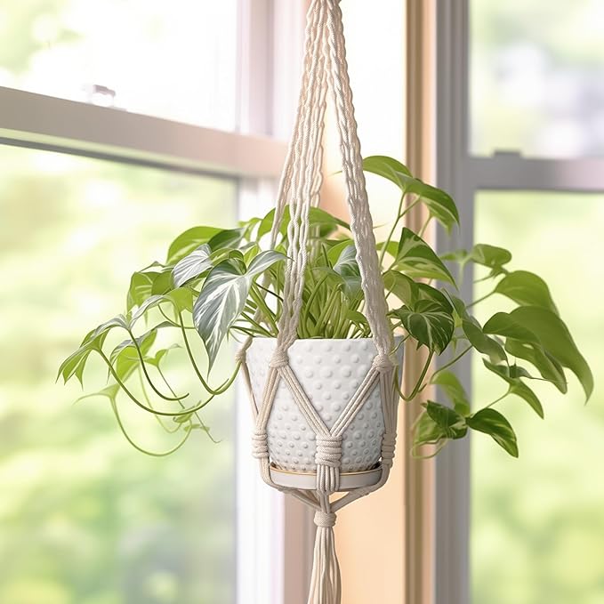 G EPGardening 6 Inch Ceramic Plant Pot with Drainage Hole and Saucer Round Planter Decorative Flower Plant Pot for Indoor Plants Outdoor White