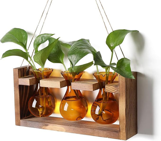 Plant Propagation Station Plant Terrarium Unique Birthday Gifts for Women Plant Lovers Home Office Decor Planter with Wooden Stand - 3 Bulb Glass Vase