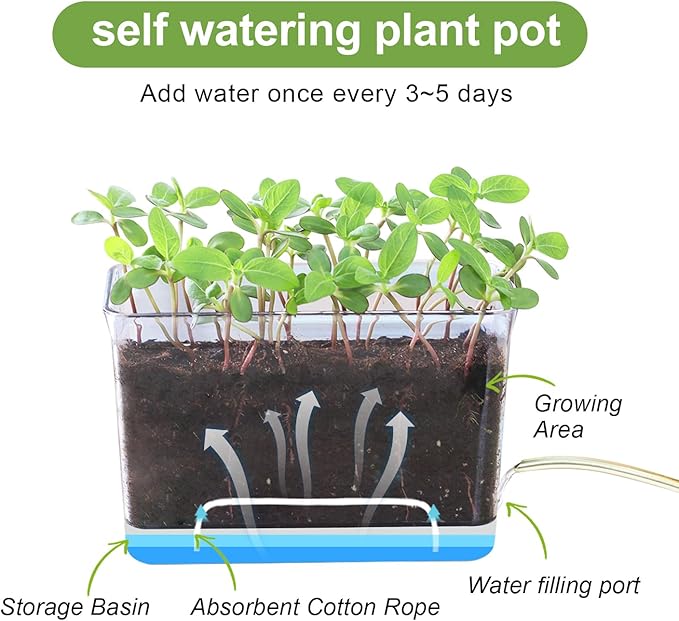 Self Watering Planter, 2 Pack African Violet Pots, Rectangular Self-Watering Clear Planters Box for Devil's Ivy, Spider Plants, Orchid. Flower Planting and Small Vegetables for Home Office