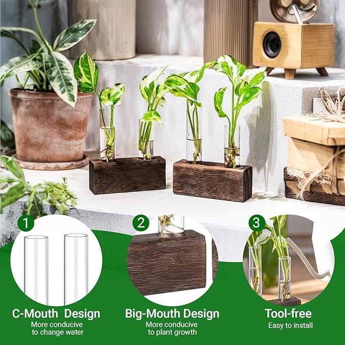 Ivolador Plant Propagation Stations 4 Test Tube Plants Terrariums in Wooden Stand Gifts for Plant Lovers for Hydroponic Plants Office Home Decor Hydroponic Vase Gift Box 2 Sets