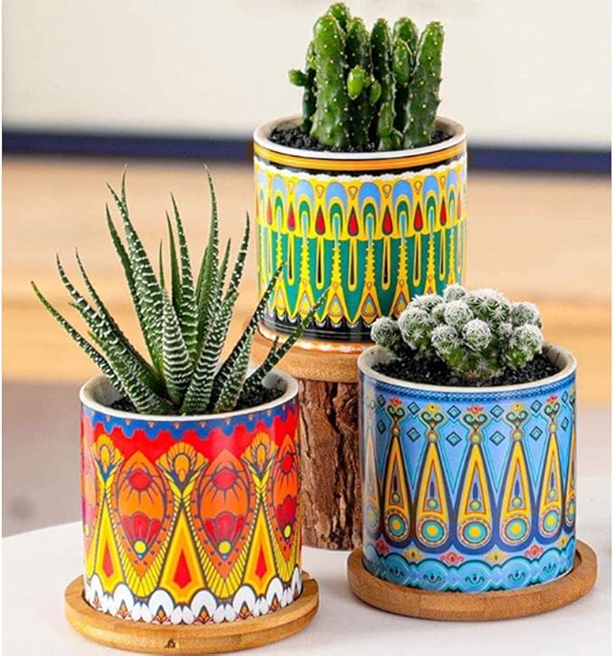 Mandala Succulent Pot with Drainage Hole & Bamboo Coaster, Small Plant Pots, Bohemian Ceramic Succulent Planter Pot for Small Plant-6 Pack
