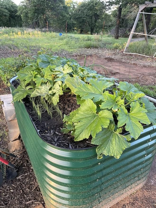 Vego garden 32" Extra Tall Raised Garden Bed Kits, 6 in 1 Modular Raised Planter Box for Vegetables Flowers Fruits Oval Metal Raised Garden-British Green