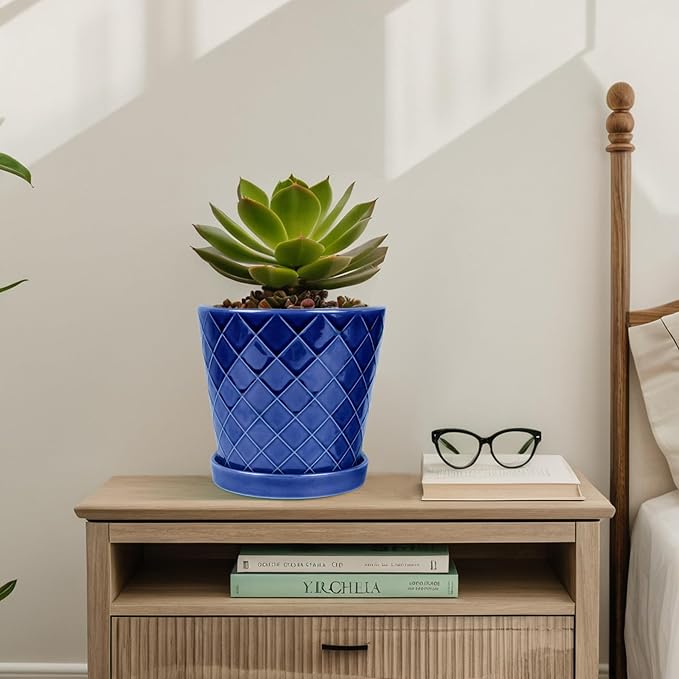 BUYMAX Plant Pots Indoor –6 inch Ceramic Flower Pot with Drainage Hole and Ceramic Tray - Gardening Home Desktop Office Windowsill Decoration Gift, Set of 2(Royal Blue)