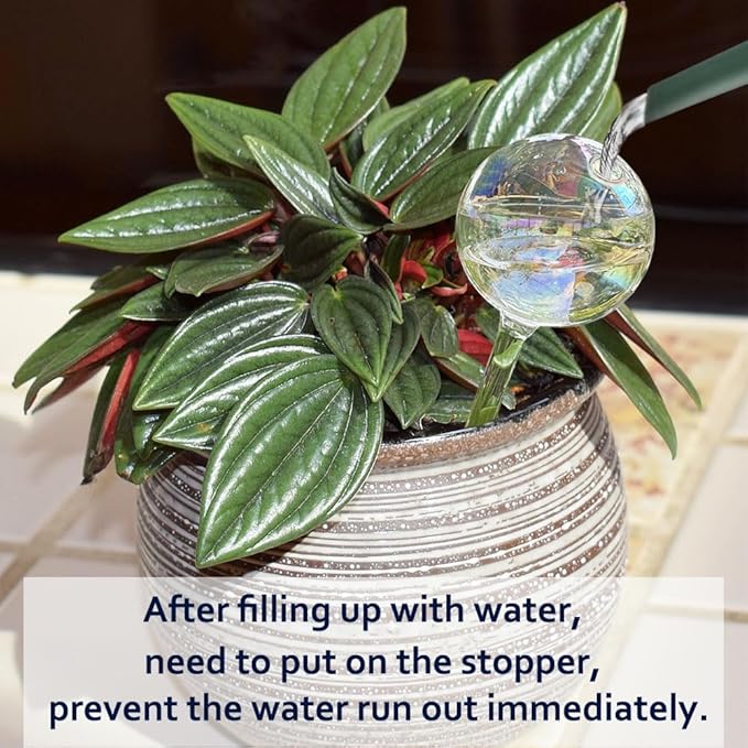 Clear Rainbow Glass Plant Automatic Watering Bulb, 4pcs Garden Flower Self Watering Planter Inserts, Automatic Plant Waterer System Set Self Watering Spikes to Support Plant Health