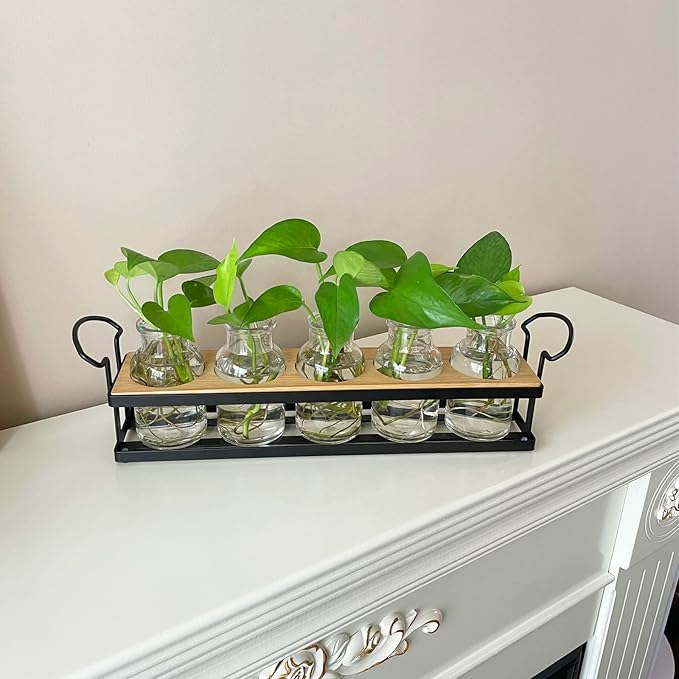 THYGIFTREE Plant Propagation Stations with Metal Stand, Tabletop Plant Terrarium for Propagating Hydroponic, Retro Glass Planter Flower Vase Home Kitchen Office Decor, Plant Lover Gifts, 5 Jars