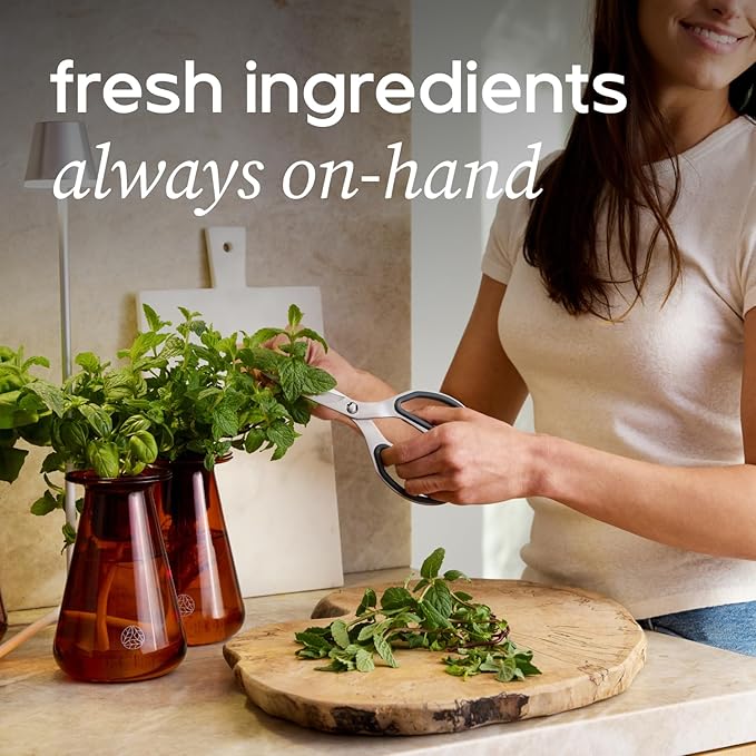 Counterstand Set – Vase Plant for Indoor Edible Garden Kit for Herbs & Lettuce – Small-Space Hydroponic System – Home Decor & Gifting – with Live Plants