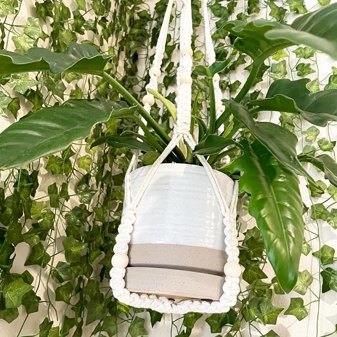 6 Inch Plant Pots, Ceramic Planter Pot with Drainage Hole & Saucer, Indoor/Outdoor Cylinder Round Planter Pot, White & Beige Glaze