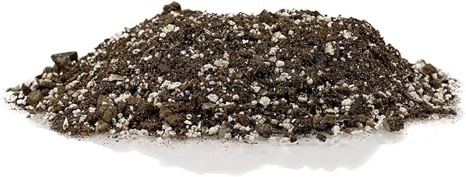 Premium African Violets and Gesneriad Premium Soil Mix by Gardenera - 10 Quart - Horticultural Perlite, Vermiculite, Sphagnum Peat Moss - Made in USA - (2 Bags of 5QT)