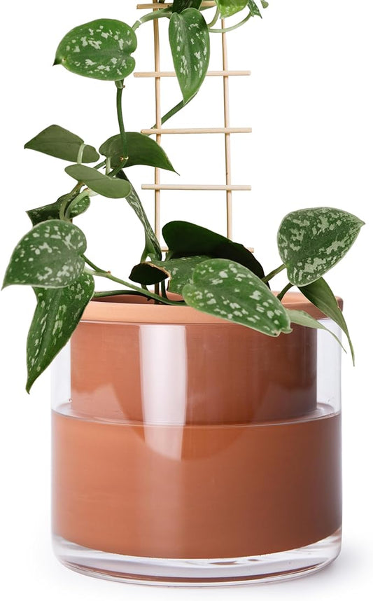 Phoenix Vine 6 Inch Self Watering Plants Pot, Design Terracotta Pot for Plants, Indoor Cylinder Terra Cotta Planter with Glass Vase, Set of 1, 51-A-F-1