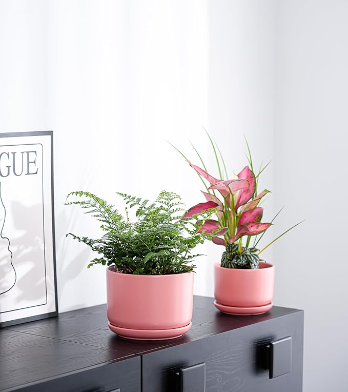 Ton Sin Plant Pots, 4.1+5.1+6.5 inch, Set of 3, Ceramic Planters with Drainage Hole and Saucer, Indoor Flower Pot with Hole Mesh Pad, Gifts for Mom(Matte Orange)