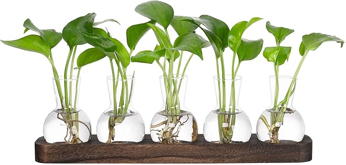 YIBOT Plant Propagation Stations,Glass Propagation Vases for Plants Terrarium with Wooden Tray Plant Lover Gifts for Propagating Hydroponic Plants Home Office Decor(5 Vase)
