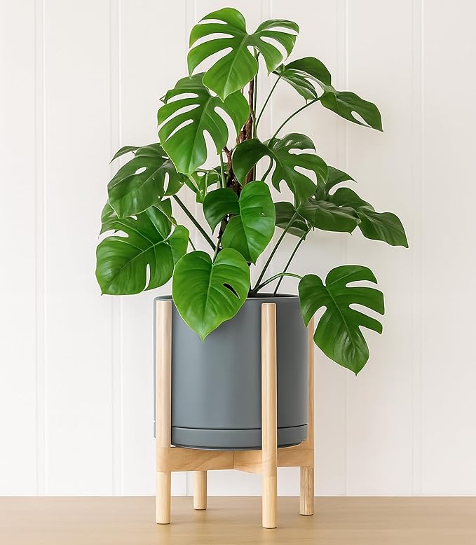 D'vine Dev Ceramic Planter with Natural Stand - 12 Inch Modern Round Flower Pot with Wood Planter Holder, Grey, 55-B-J-3