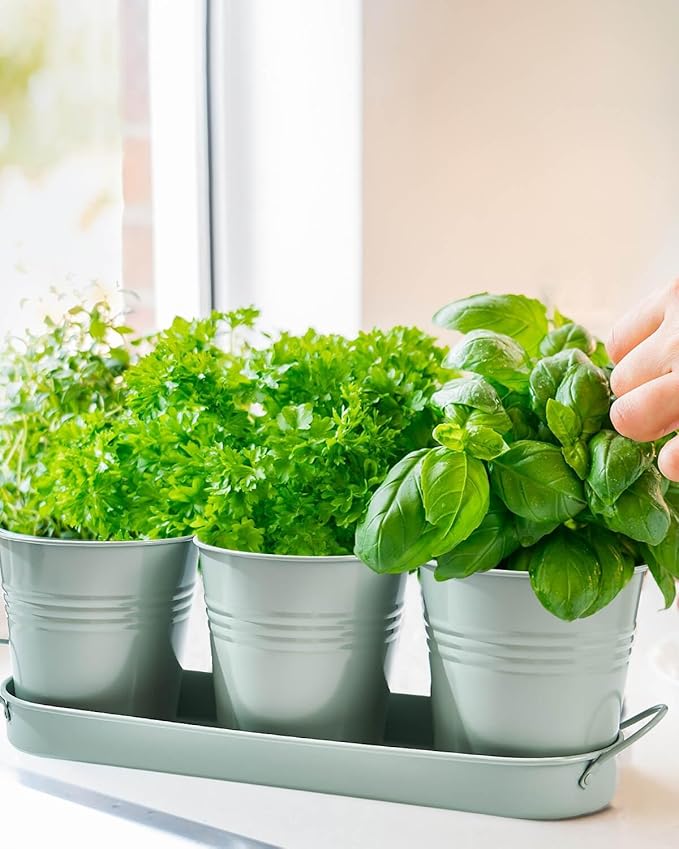 vensovo Indoor Herb Planter Set - Galvanized Windowsill Garden Pots with Tray & Drainage, Set of 3 Metal Window Planters for Kitchen & Outdoor Use, Light Green