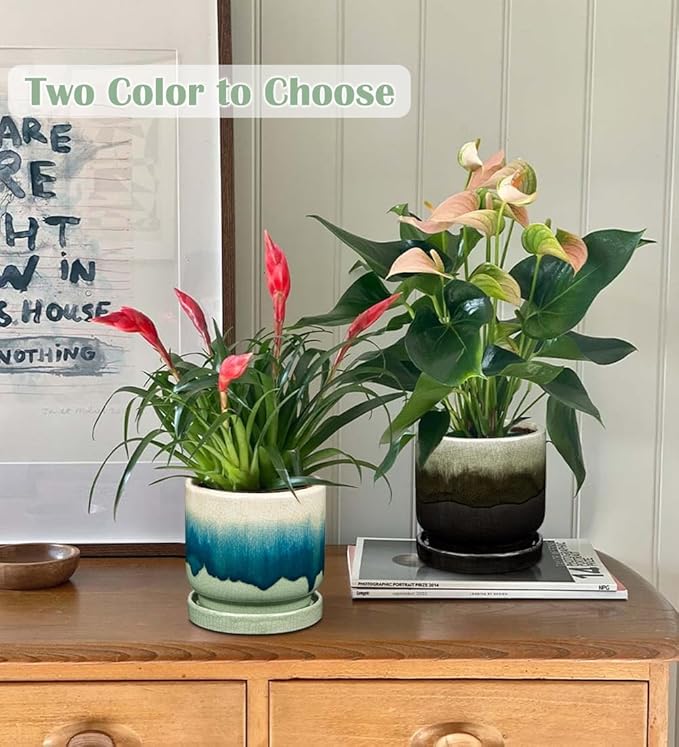 Oairse Ceramic Pot for Plants - 5.5 inch Small Planter with Drainage Hole and Saucers - Gradient Black Outdoor Indoor Flower Pot for Succulent, Cactus, Snake Plant, Herb