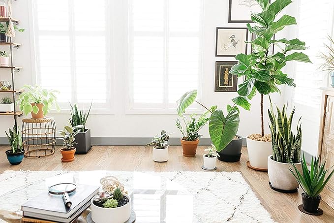 Curtis Wagner Plastics Wire Coco Hanging Basket Drip Pans (5-Pack) | Clear, Round (12” - 14" Top, 3.75" Depth) Hanging Plant Tray Saucer with Built-in Hooks & Water Catcher for Indoor & Outdoor