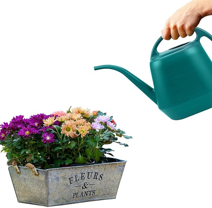 Fasmov Plastic Watering Can, 1-Gallon, Green