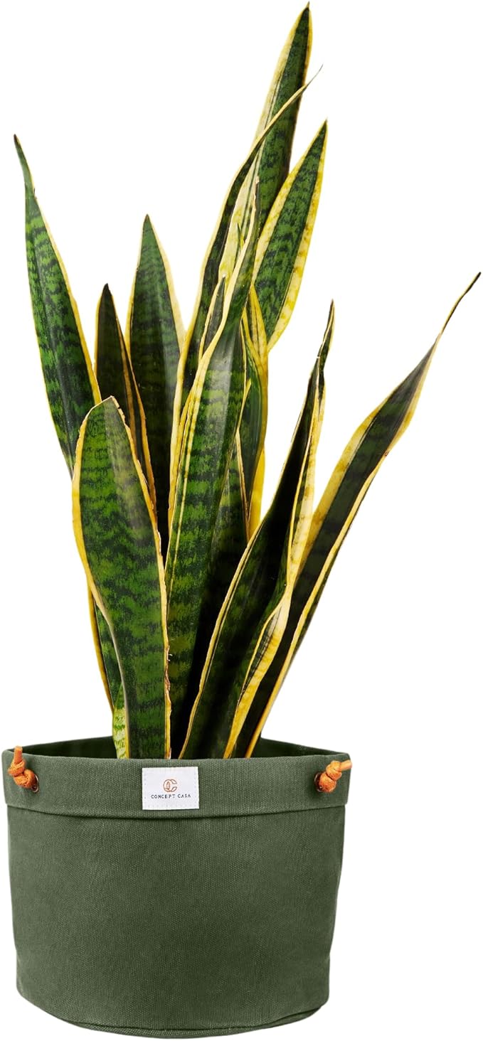 Waxed Canvas Handmade Hanging Planter for Indoor/Outdoor Plants, Hanging Basket Plant Holder Forest Green