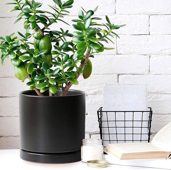 Plant Saucer Pot Tray Planter Saucers 4 5 6 7 8 9 10 11 12 Inch Black 4 Pack for Indoors Outdoor, Durable Sturdy Ceramic Flower Drainage Tray for Glazed Pots Base (4.7 Inch-Black)