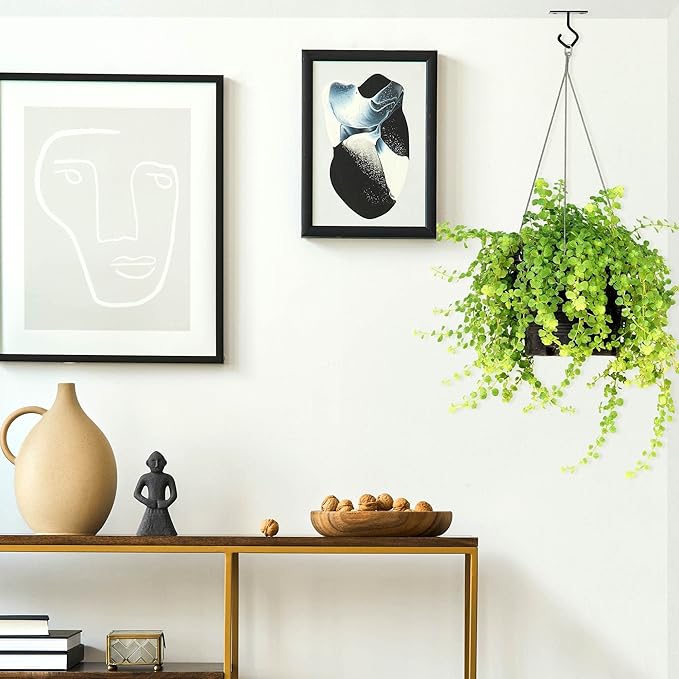 AJART Ceiling Hooks for Hanging Plants: Iron Plant Hanger for Wall Mount - 2 Pack/2.5 Inch Ceiling Hook for Indoor Use