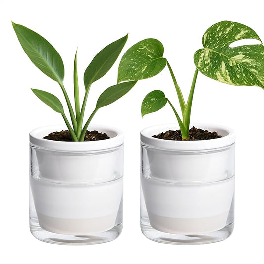 D'vine Dev 4 Inch Design Self Watering Planter for Indoor Plants, White Terracotta Pots with Cylinder Glass Cup, Set of 2, 37-Y-A-2