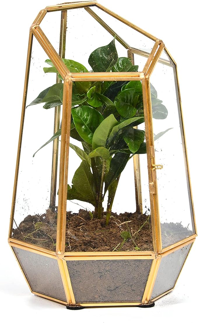 Golden Geometric Glass Terrarium with Door - 9.8" Tall Irregular Clear Planter for Succulents,Ferns,Moss,Cacti | Indoor Fairy Garden,Tabletop Display,Wedding Home Decoration (Plants Not Included)