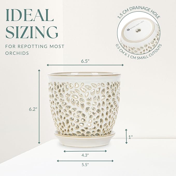 Elegant Orchid Pot with Holes, Large 6.5 inch Premium Porcelain Ceramic Orchid Pot for Repotting, Durable Ceramic Planter with Removable Saucer for Easy Drain, Planter Gifts for Moms