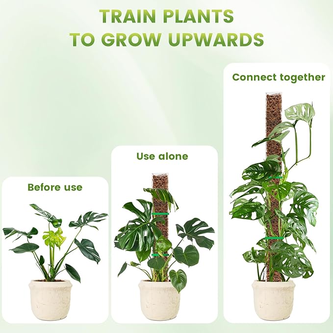 EOX 4 Pcs 24 Inch Plastic Moss Pole for Monstera, Large D Shaped Poles for Climbing Plants Work with Sphagnum Moss, 90 Inch Plant Stake Set of 4, Garden Ties