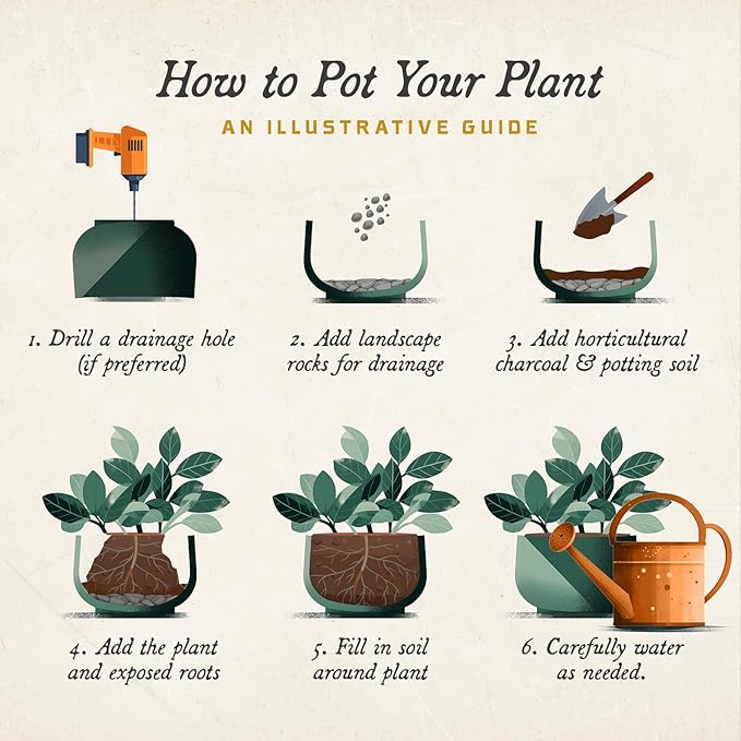 ARBORA 26" Santorini Bowl 2-Pack with Classic Black Finish - Polyresin Indoor and Outdoor Planters, Durable, Weatherproof, Lightweight, Large Plant Pots for Patio, Garden, Deck, Entryway