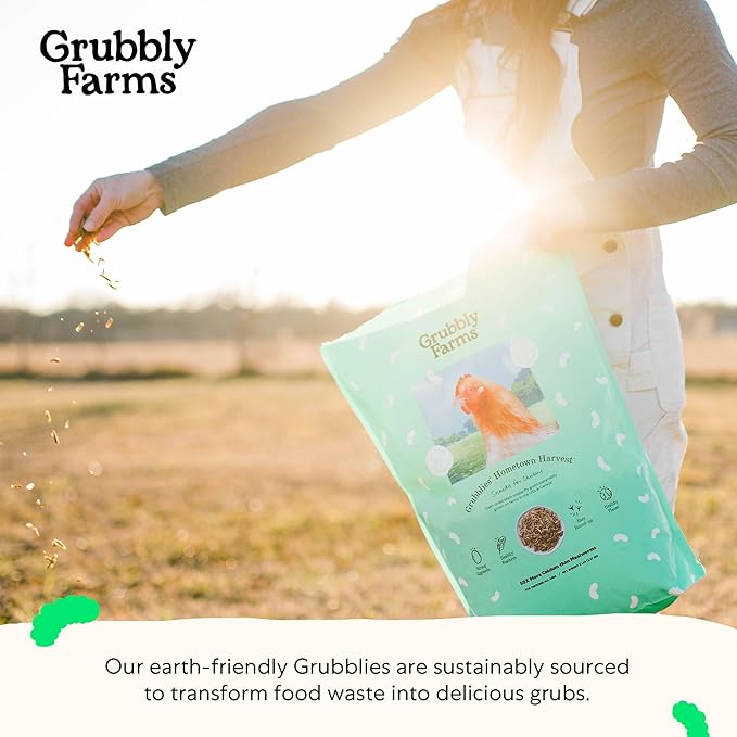 Grubblies - Black Soldier Fly Larvae for Chickens - Chicken Treats Grown in The US and Canada - for Strong Eggshells and Healthy Feathers - Grubblies Hometown Harvest 1LB