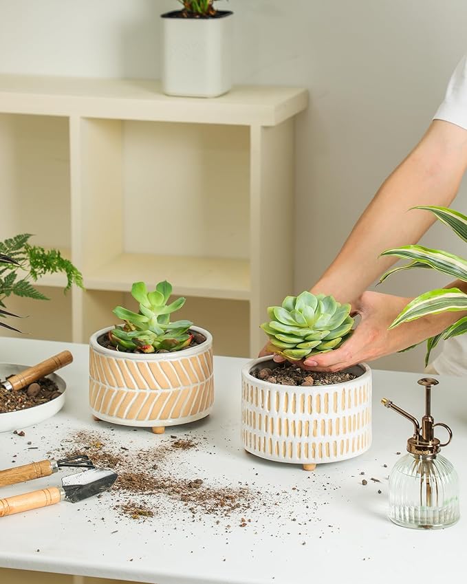 Succulent Pots, 6 Inch Pot for Indoor Plants, Footed Pots for Plants with Drainage, Succulents or Small Plant Indoor Plant Pots, Set of 2