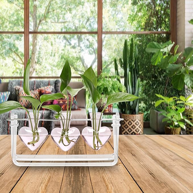Plant Terrarium Propagation Stations with Acrylic Stand Birthday Gifts for Women Plant Stand Indoor Office Home Decor