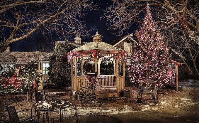 Outdoor String Lights, 1000 LED 328Ft Christmas Light with Remote, 8 Lighting Modes, Powered Plug for Wedding Party Garden Tree Yard Indoor Decorations