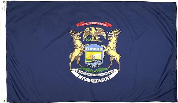 FlagSource Michigan Nylon State Flag, Made in USA, 6x10'