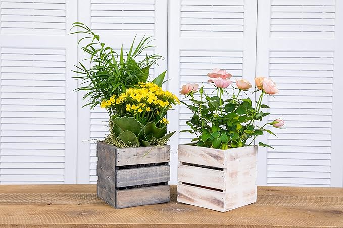 Wood Planter Box with Wine Crate Styled, 5 Inch Square, Whitewash, Plastic Liner, Garden Centerpiece Display, Wedding Flowers Holder, Home and Venue Decor (5x5 Wine Crate Set of 4, Whitewash)