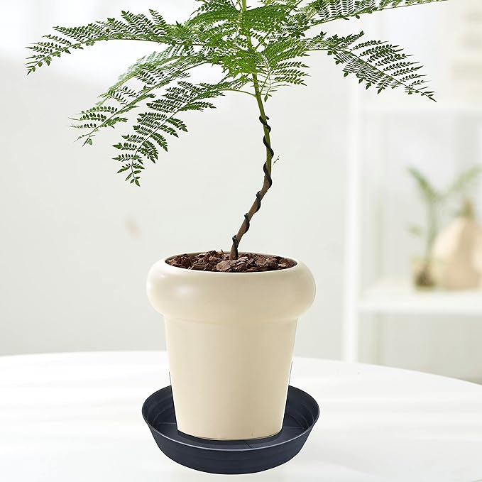 Plant Saucer 18 Inch, Extra Large Planter Saucer 4 Pack, Plastic Plant Saucers for Indoors and Outdoors, Plant Pot Saucers, Drainage Tray for 16, 17, 18 in Planters