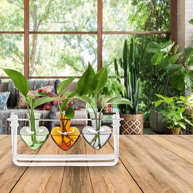 Plant Terrarium Propagation Stations with Acrylic Stand Birthday Gifts for Women Plant Stand Indoor Office Home Decor