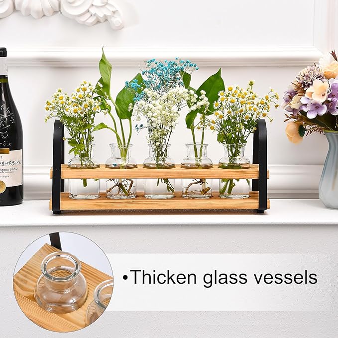 Plant Propagation Stations with Wood Stand, Desktop Plant Terrarium for Propagating Hydroponic, Flower Vase for Home Kitchen Office Decor, Plant Lover Gifts