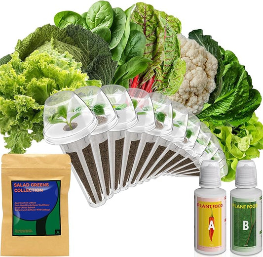 inbloom Salad Green Seed Pod Kit for AeroGarden, Ahopegarden, GARDENCUBE, MUFGA, 12 Pods (350+ Seeds with American Fast/Paris Island/Buttercrunch Lettuce, Swiss Chard, Spinach, Cauliflower, Cabbage)