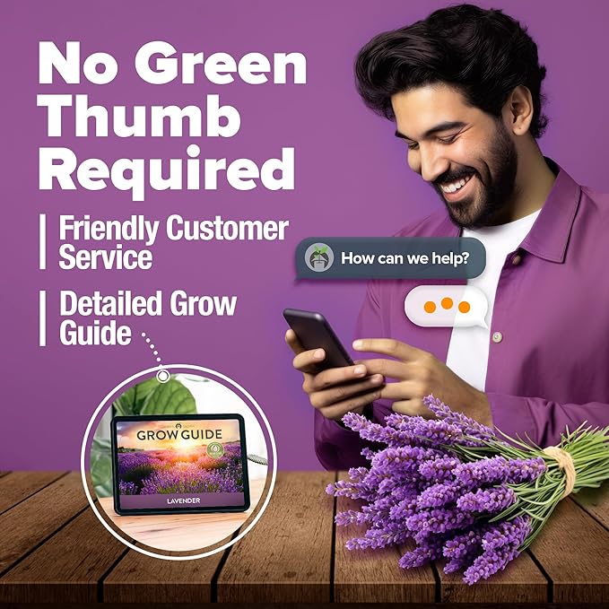 HOME GROWN 𝗨𝗦𝗔 𝗣𝗥𝗘𝗠𝗜𝗨𝗠 English Lavender Seeds 1,500+ 𝗡𝗢𝗡-𝗚𝗠𝗢 Wildflower Seed for Planting Indoor/Outdoor, High Germination, Plant Flower Seeds (Lavandula antustifolia)