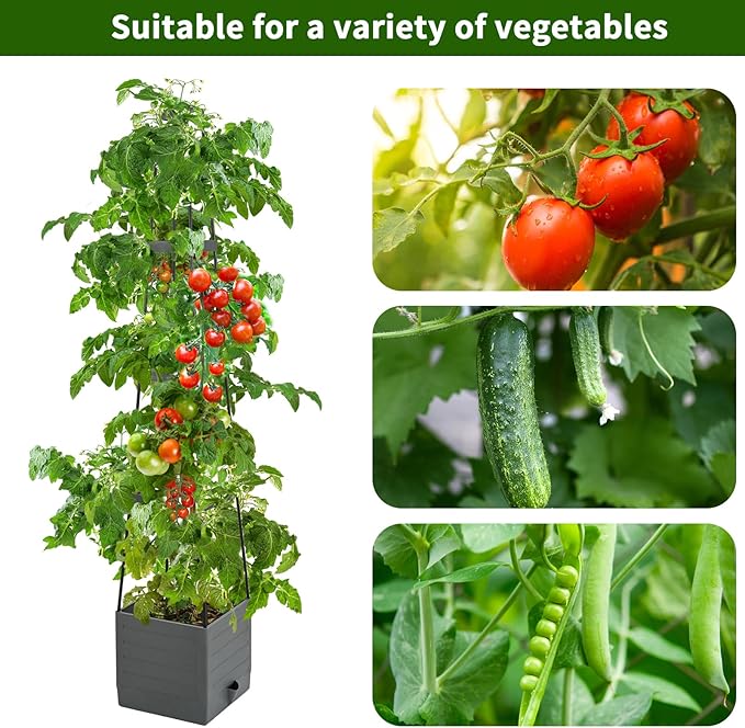 Raised Garden Bed, Planter Boxes with Trellis 58.3'' Tomato Planters for Climbing Vine Vegetables Flowers Plants Self Watering Tomatoes Cage for Outdoor Patio Greenhouse