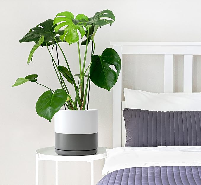 D'vine Dev 8 Inch & 10 Inch Ceramic Planter Pot for Plants with Drainage Hole and Saucer, Large Plant Pots Set, White/Speckled Grey, 94-G-L-6