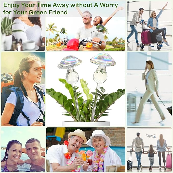 Kingbuy Self Watering Globes Hand Blown Glass Plant Watering Bulbs Colorful Mushroom Automatic Drippers Irrigation Devices for Indoor Outdoor Plants, 4 Pack