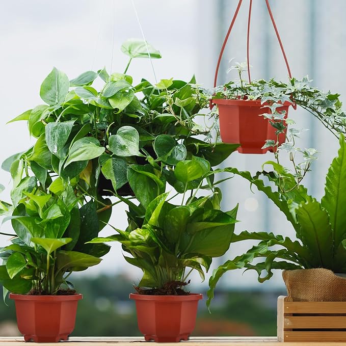 Roshtia 24 Pcs Hanging Plastic Planter Pot with Hook Flower Pots Baskets Hanging Nursery Planter Holder for Outdoor Indoor Plant Garden(Brown,3.7 Inch)