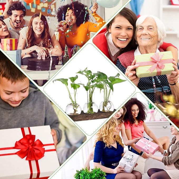 YIBOT Propagation Stations,Plant Propagation Vase,Desk Plant Terrarium with Retro Wooden Stand,Plant Lover Gifts for Women for Hydroponics Plants Home Garden Wedding Decor(3 Vase)