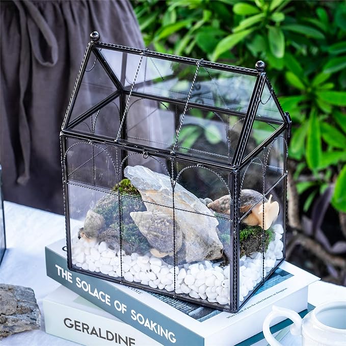 NCYP Black Glass Terrarium with Lid, Indoor Geometric Planter for Cacti, Air Plants, Succulents, Insect, Snail, House Shape Closed Box 7.5" x 4.9" x 9" (No Plant Included)