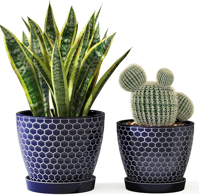 Docrin Ceramic Plant Pots Indoor, 6.6 + 5.5 Inch Planters with Drainage Holes and Saucer for Home/Office - Set of 2 /Blue Honeycomb