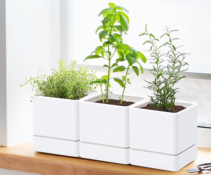 4 Inch Herb Planter Pot, Plastic Planter with Drainage Holes and Saucer, Modern Decorative Gardening Pot for Indoor Plants, Flowers, Herbs, Succulents, White, Set of 6, 76-Y-A-6
