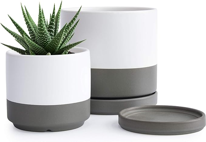 D'vine Dev 4.6 Inch & 6 Inch Ceramic Planter Pots for Plants with Drainage Hole and Saucer, Small Plant Pots Set, White/Speckled Grey, 94-G-S-6