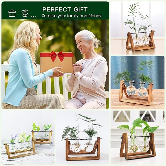 Kingbuy Glass Desktop Planter with Retro Wooden Stand and Plant Terrarium vase (2 Bulbs) for Indoor Office Desk Decor Accessories